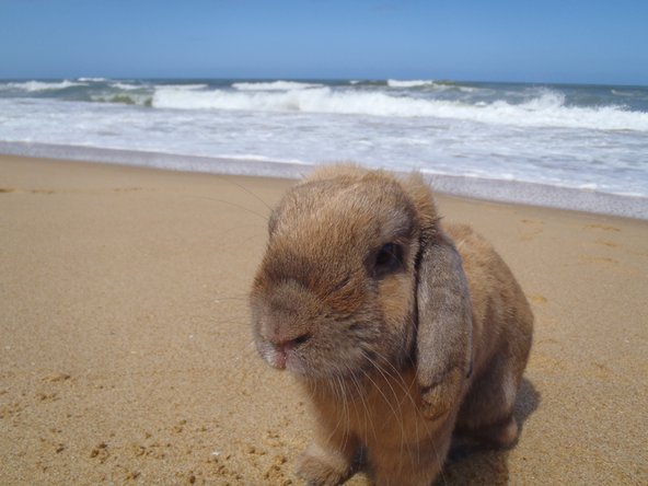 crwdns2853021:0crwdne2853021:0