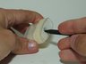 stepid 341630