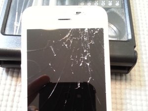 crwdns2886502:0Shawncrwdne2886502:0