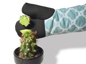 Comment réparer un cactus