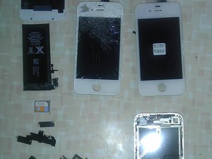 crwdns2886502:0boxerbccrwdne2886502:0