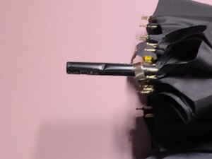 stepid 390167