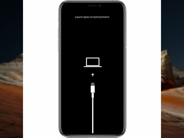How to Bypass Activation Lock with Lockra1n, Entering Recovery Mode: step 13, image 2 of 2