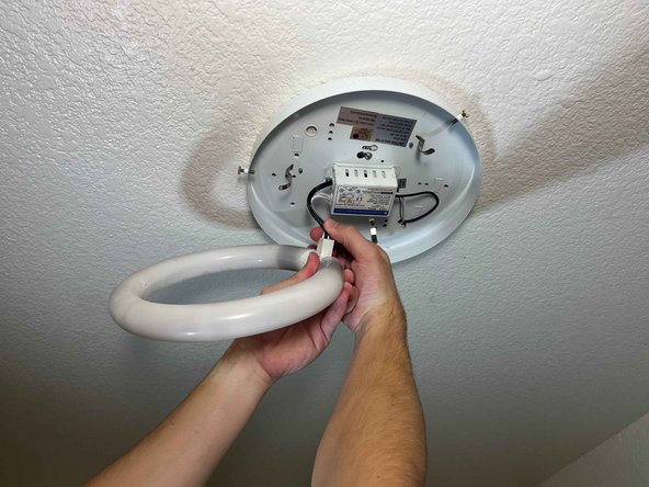 Circline Fluorescent Light Bulb Replacement: crwdns2935265:04crwdnd2935265:02crwdnd2935265:03crwdne2935265:0