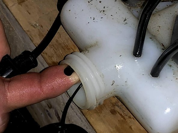 Push the remaining fuel line into the gas tank.