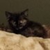 crwdns2933455:0Margaret Battersbycrwdne2933455:0