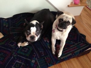 crwdns2886502:0srrecordcrwdne2886502:0