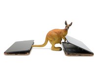 iPhone XS and XS Max Teardown