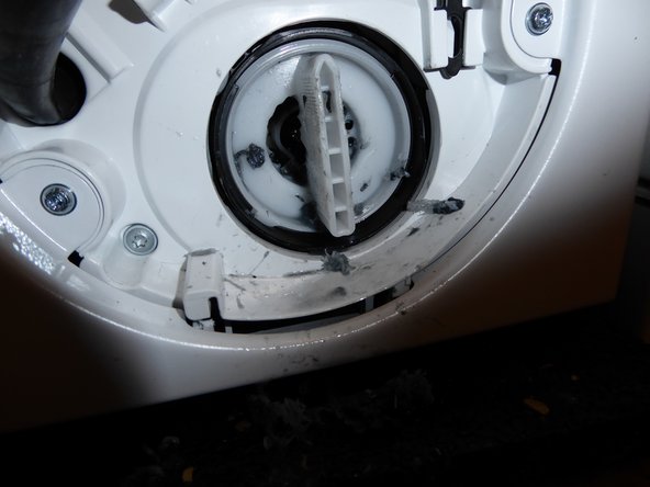 Lint filter clogged and blocked: step 4, image 2 of 2