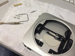 crwdns2886502:0Rodrigo Andradecrwdne2886502:0