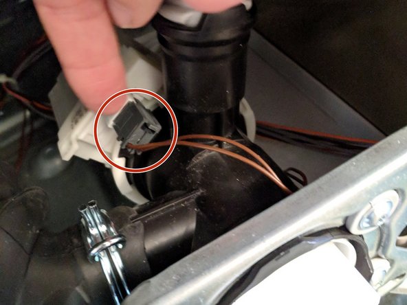 Washing Machine Disassembly to Access Water Drain Pump, Disconnect pump: step 13, image 1 of 3