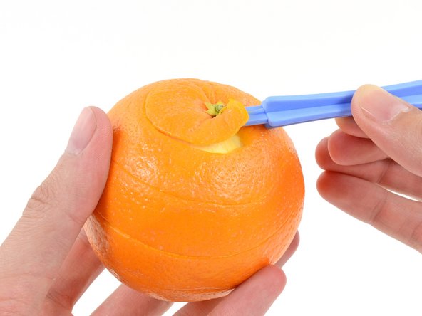 Orange Teardown: crwdns2935265:010crwdnd2935265:02crwdnd2935265:02crwdne2935265:0