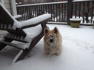 crwdns2886502:0judymcguirecrwdne2886502:0