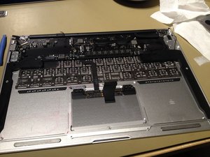 crwdns2886502:0ssvenncrwdne2886502:0