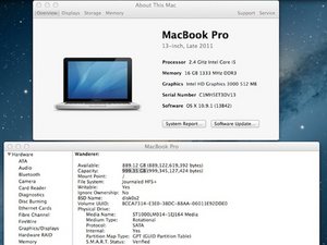 crwdns2886502:0Canis Lupiscrwdne2886502:0