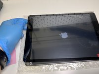 iPad 9 (2021) Screen and Touch Glass (WiFi & Cellular) Replacement
