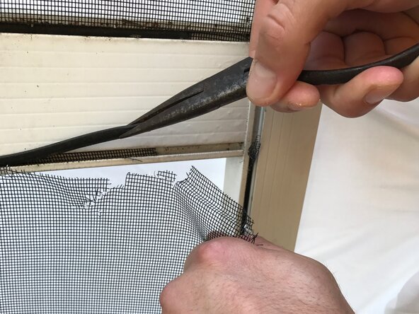 Pool Screen Replacement, Removing the screen and thread: crwdns2935265:02crwdnd2935265:02crwdnd2935265:02crwdne2935265:0