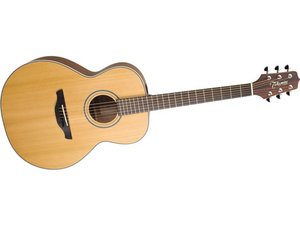 Takamine G Series Troubleshooting