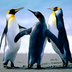 crwdns2933455:0timothycrwdne2933455:0