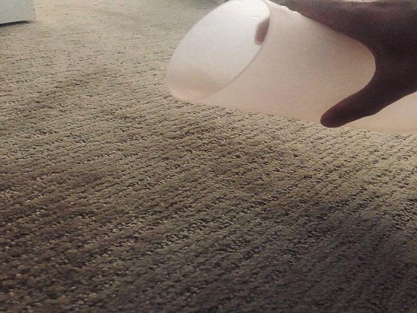 How to Get Rid of Urine Stains in the Carpet: crwdns2935265:04crwdnd2935265:02crwdnd2935265:02crwdne2935265:0