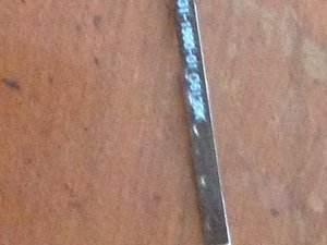 crwdns2886502:0Canis Lupiscrwdne2886502:0