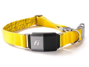 Fi Collar Series 2 