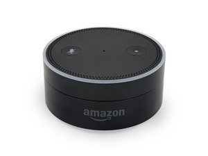 Connect echo best sale to bose speaker