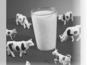 crwdns2886502:0richardaskewcrwdne2886502:0