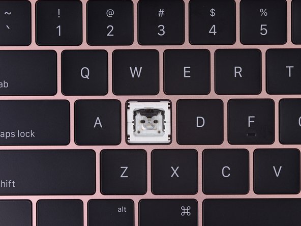 Retina MacBook 2017 Teardown: crwdns2935265:08crwdnd2935265:03crwdnd2935265:03crwdne2935265:0