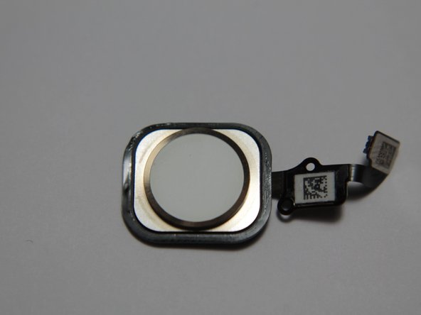 iPhone 6 Teardown: crwdns2935265:011crwdnd2935265:01crwdnd2935265:01crwdne2935265:0