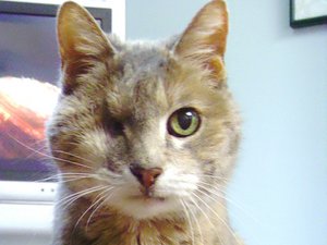 crwdns2886502:0cathy simcoxcrwdne2886502:0