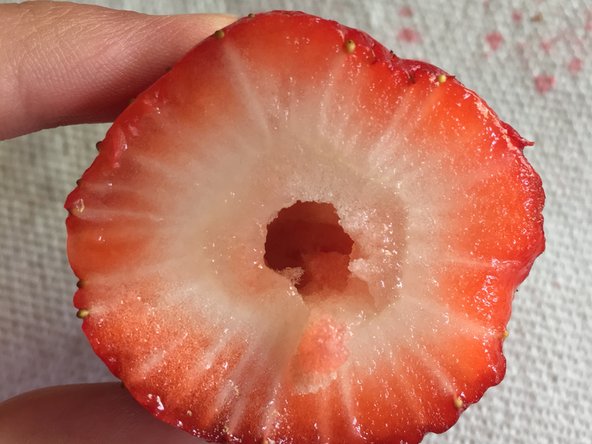 Strawberry Teardown, Now what?: crwdns2935265:06crwdnd2935265:03crwdnd2935265:03crwdne2935265:0