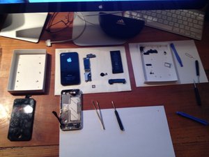 crwdns2886502:0JC Delaycrwdne2886502:0