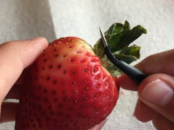 Strawberry Teardown, The clue: crwdns2935265:04crwdnd2935265:02crwdnd2935265:03crwdne2935265:0